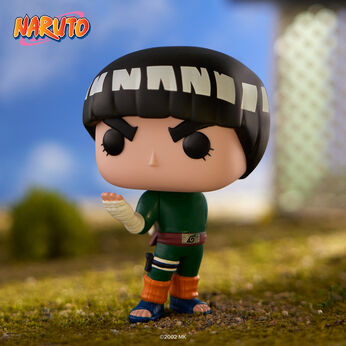 Pop! Rock Lee, Image 2